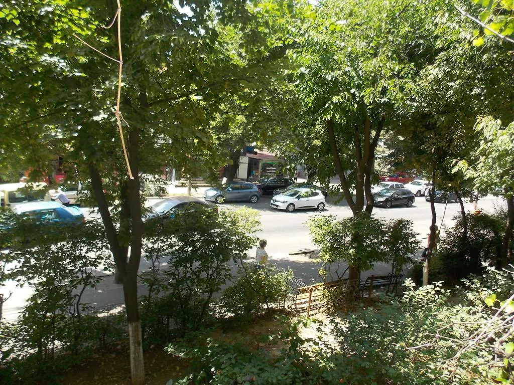 Studio Lujerului 2 Bucureşti